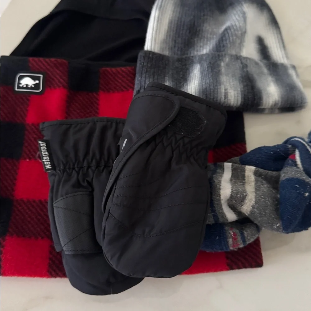 Turtle Fur Ski Mask